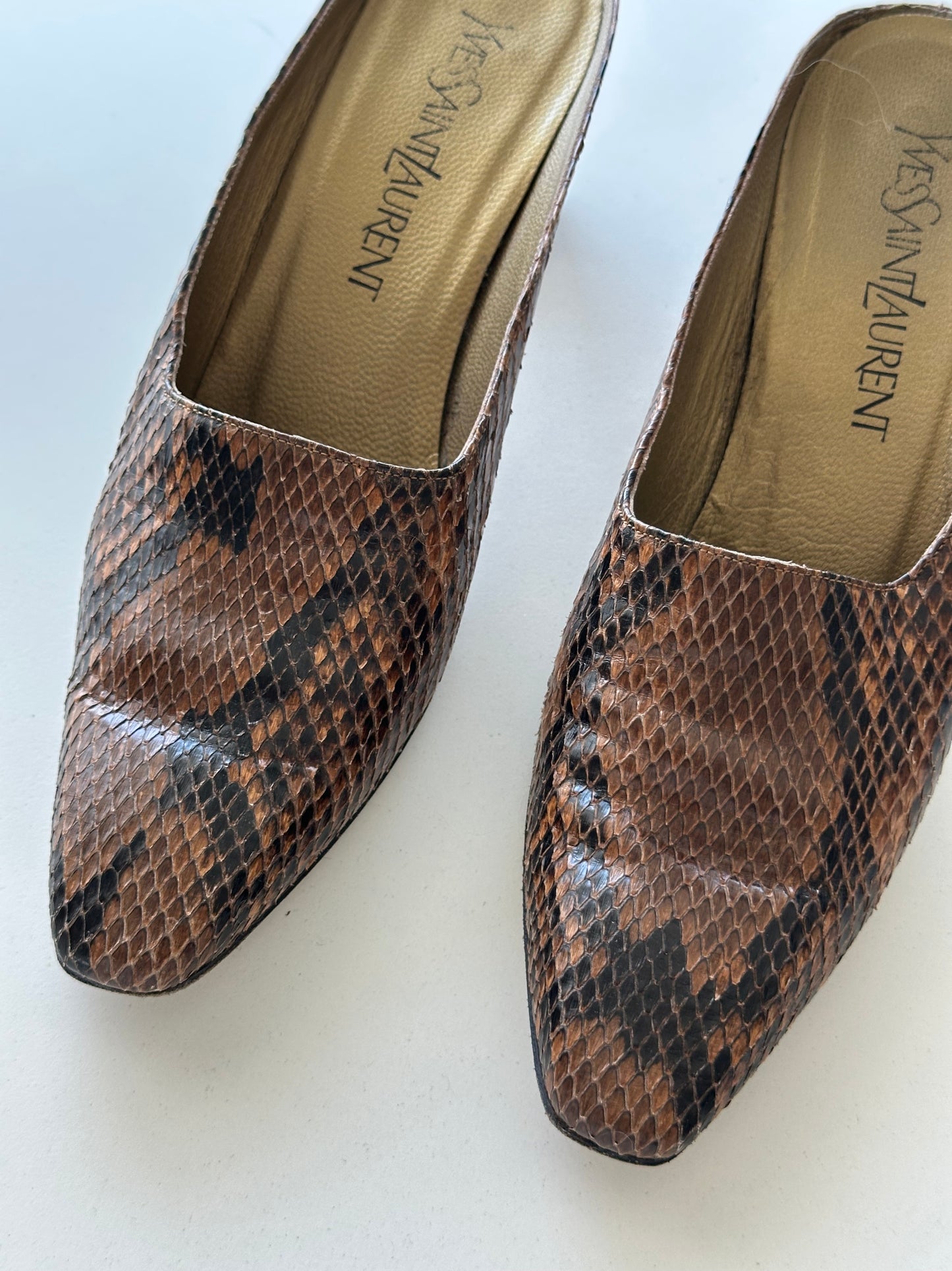 YSL snakeskin mule (37.5)