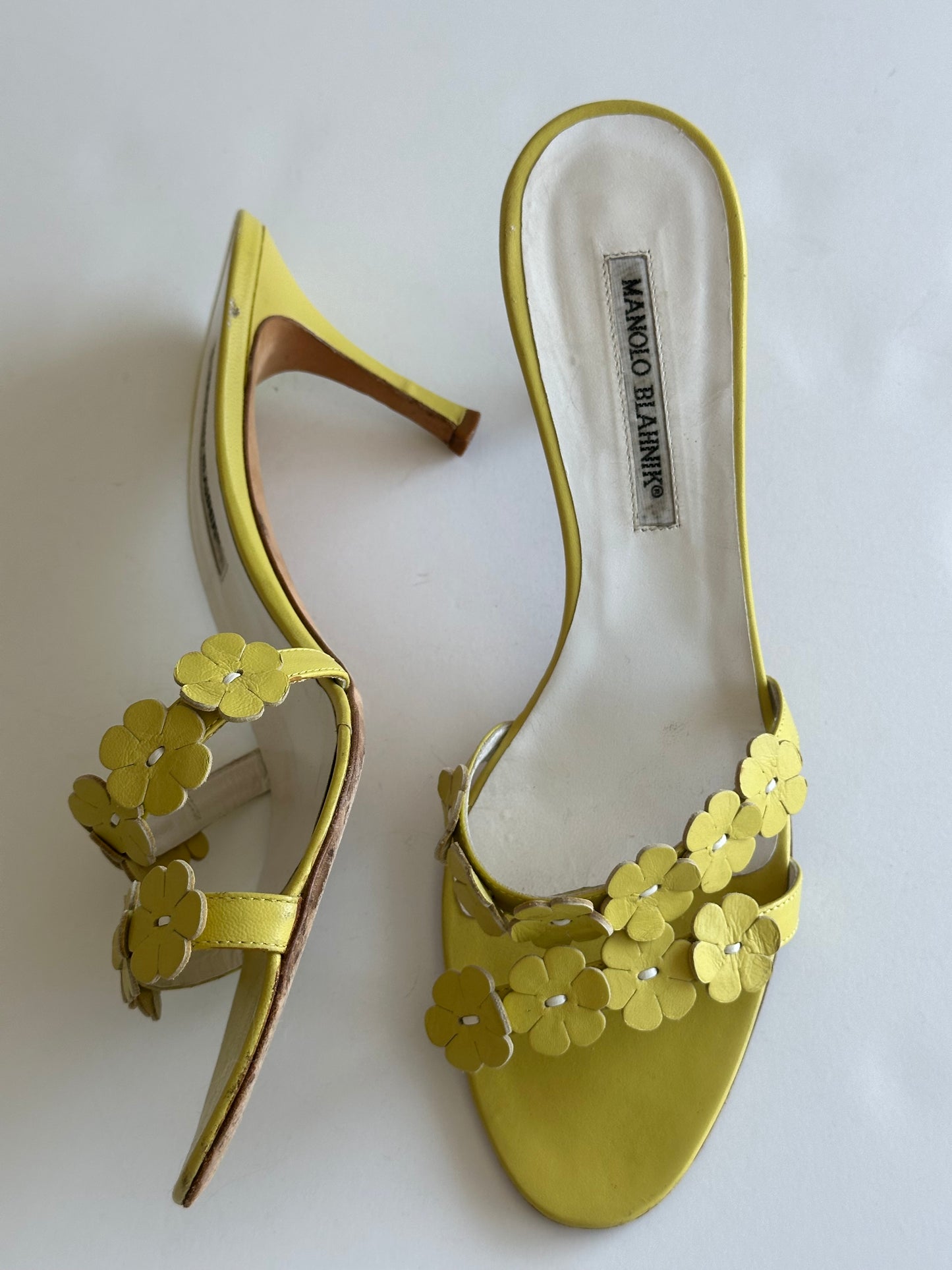 Manolo Blahnik Floral Mule (41)