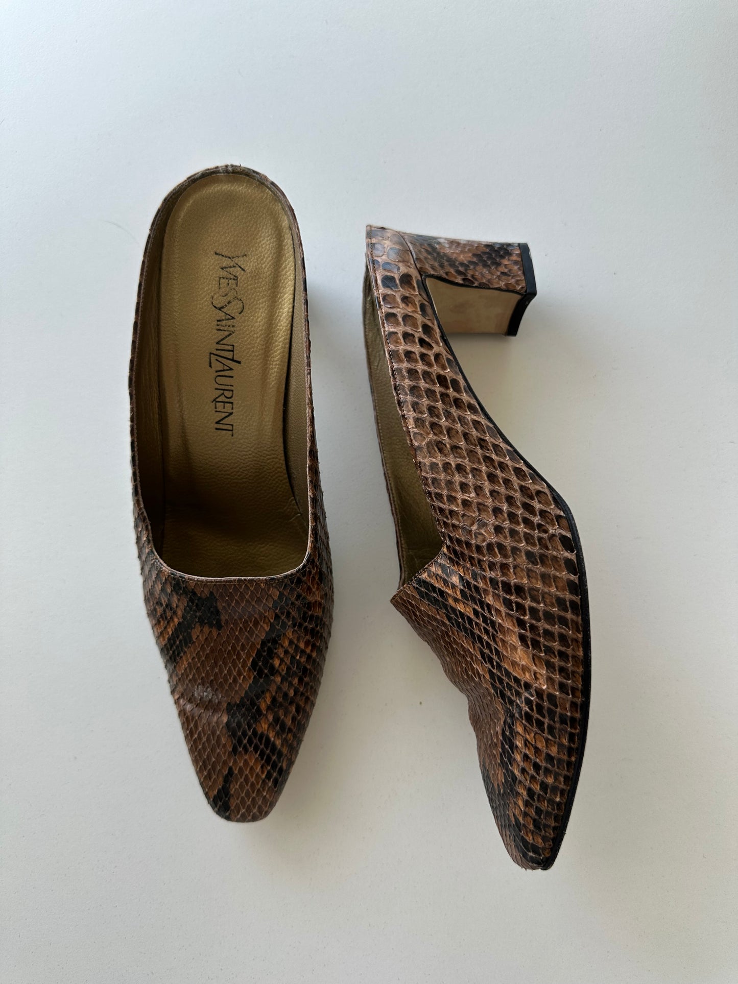 YSL snakeskin mule (37.5)